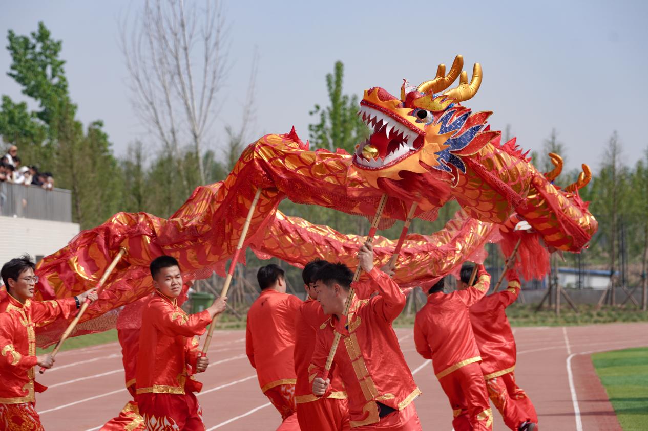 DSC04966 DSC04966